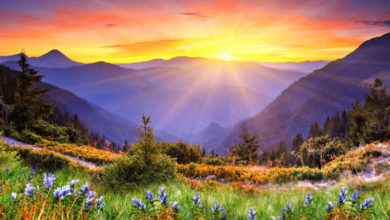 Wallpaper:_Jp6ppkdb58= Sunrise