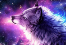 Wallpaper:8xsof43zhre= Wolf