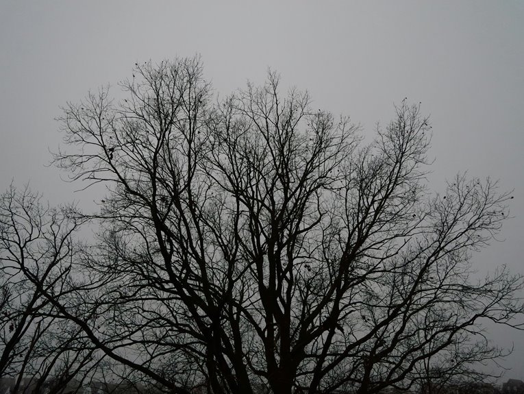 cross sector number governance outline