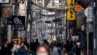 market dynamics overview report