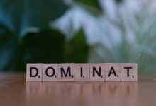 numeric governance control outline