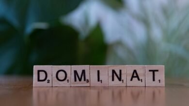 numeric governance control outline