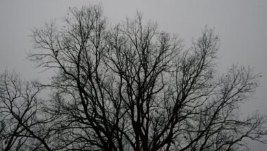 precision identifier validation process