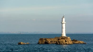 registry signal harmonization agreement