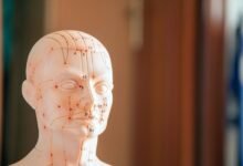 verified numeric reference blueprint